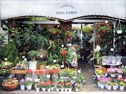 「麻布フローリスト」　（東京都港区）の花屋店舗写真1