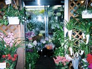 「麻布フローリスト」　（東京都港区）の花屋店舗写真2